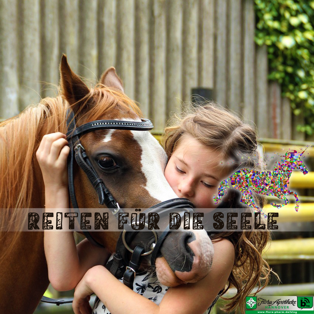 Reiten und Pferde sind gut für die Seele