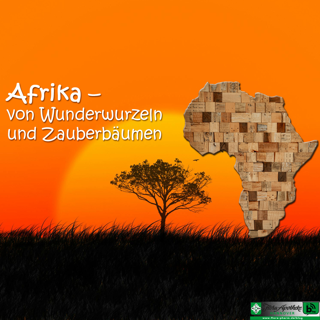 Ganzheitlich um den Globus - Afrika