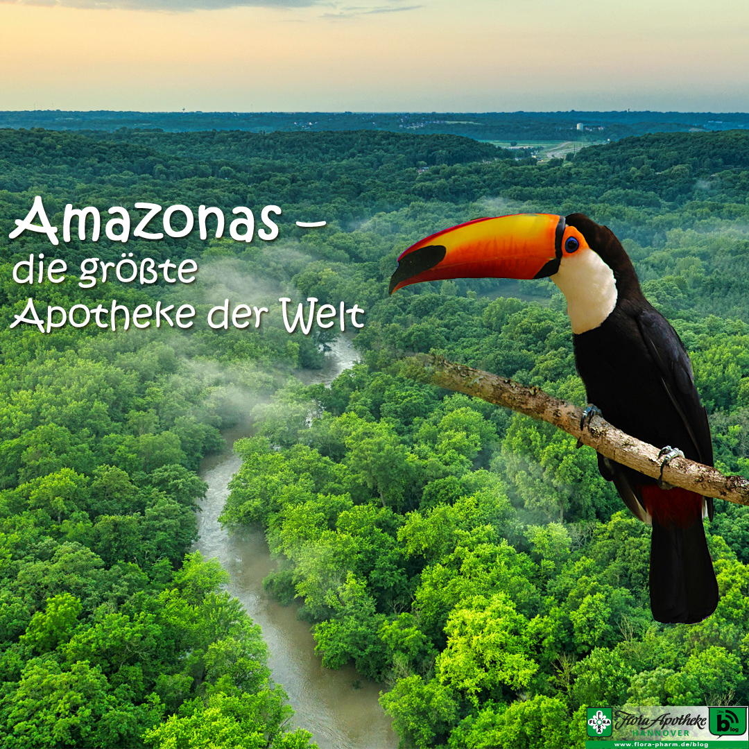 Ganzheitlich um den Globus - Amazonas, die größte Apotheke der Welt