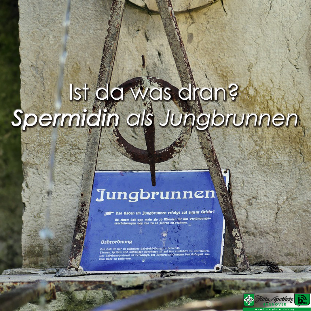 Spermidin als Jungbrunnen - Mythencheck