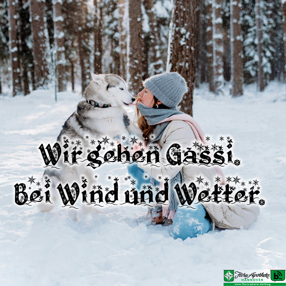 gassi gehen bei wind und wetter