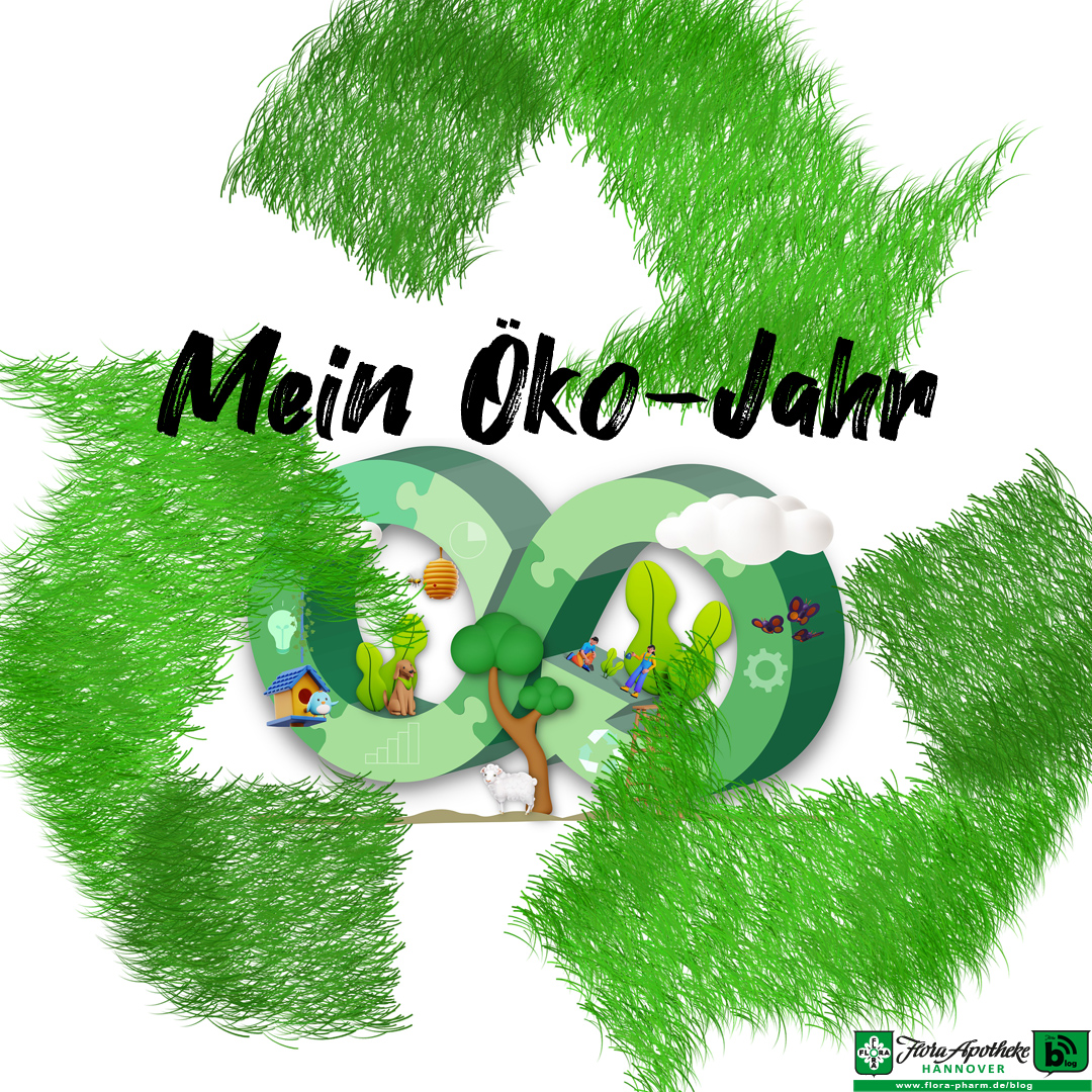 mein öko-jahr